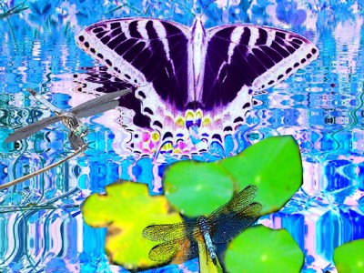 Click here to view at full resolution.