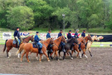 Stay in Formation by kidder, photography->people gallery