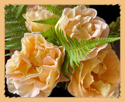 Click here to view at full resolution.