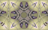Butterflies and Rainbows Morphed by Flmngseabass, abstract gallery