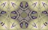 Butterflies and Rainbows Morphed by Flmngseabass, abstract gallery