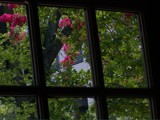 A Window View by bfrank, Photography->General gallery