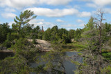 Swan Lake Trail by ShawnM, Photography->Landscape gallery