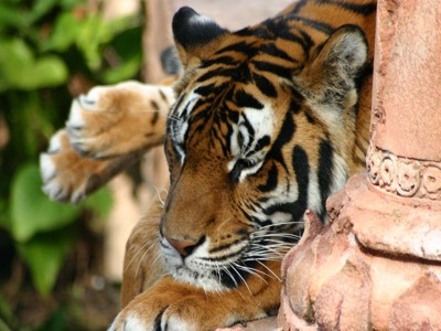 Click here to view at full resolution.