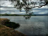 Lake Waihola (Spreading Waters) by LynEve, photography->landscape gallery
