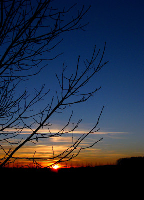 Click here to view at full resolution.