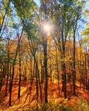 Fall is upon us by Starglow, photography->landscape gallery