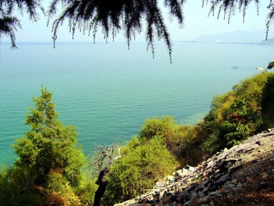 Click here to view at full resolution.