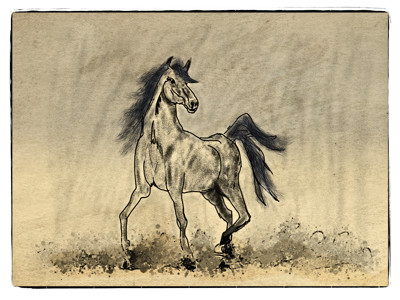 Click here to view at full resolution.