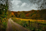 Far pasture Lane by biffobear, photography->landscape gallery