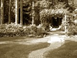 Grandmas Garden Trellis by graffitigirl21, photography->landscape gallery