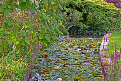 Click here to view at full resolution.