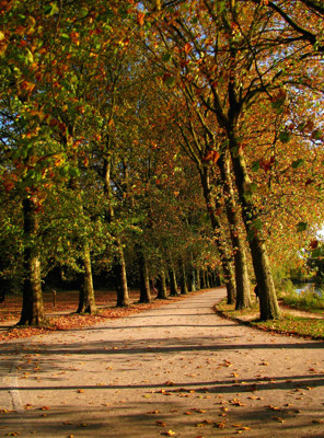 Click here to view at full resolution.