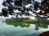 Lake Merced by donman7, caedes gallery
