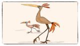 A Snipe Maybe by bfrank, illustrations gallery