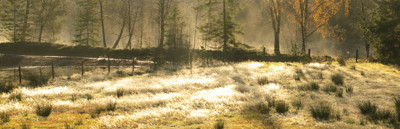 Click here to view at full resolution.