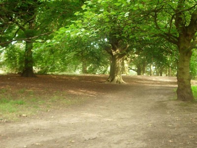 Click here to view at full resolution.