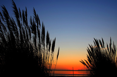 Click here to view at full resolution.