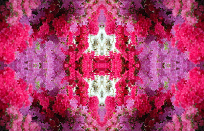 Click here to view at full resolution.