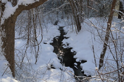 Click here to view at full resolution.