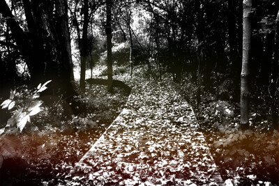 Click here to view at full resolution.