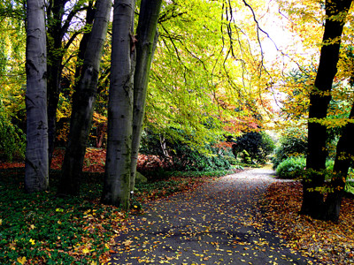 Click here to view at full resolution.