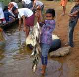 Fish from river by sahadk, Photography->People gallery