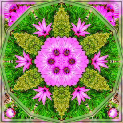 Click here to view at full resolution.