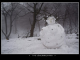 the snowwoman... by fogz, Photography->Sculpture gallery