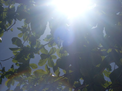 Click here to view at full resolution.