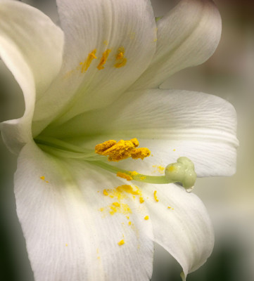 Click here to view at full resolution.