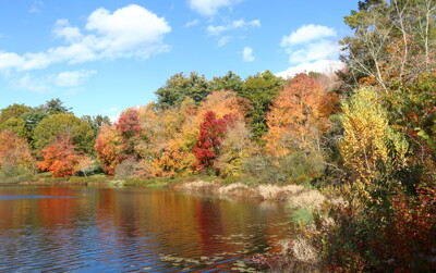 Click here to view at full resolution.