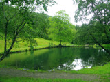Rain &amp; the Lake by Blumie, Photography->Landscape gallery