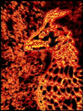 Dragon Fire by bfrank, illustrations gallery