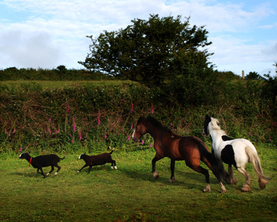 Click here to view at full resolution.