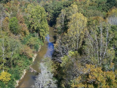 Click here to view at full resolution.