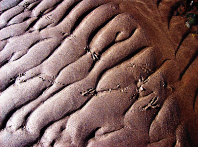 Click here to view at full resolution.