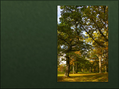 Click here to view at full resolution.