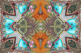 Hummingbird Kaleidoscope by Flmngseabass, photography->manipulation gallery