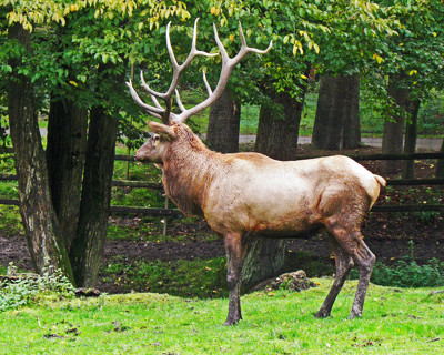 Click here to view at full resolution.