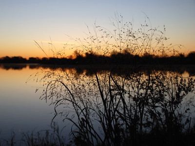 Click here to view at full resolution.