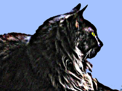 Click here to view at full resolution.