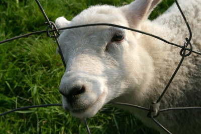 Click here to view at full resolution.