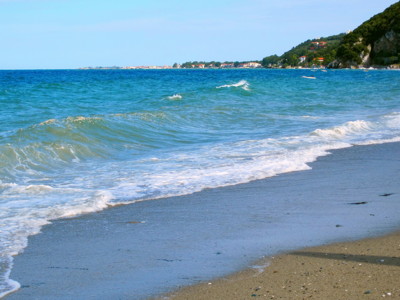 Click here to view at full resolution.