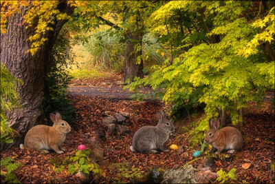 Click here to view at full resolution.