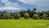 A garden's view by carlosf_m, photography->landscape gallery