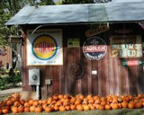 Pumpkin Farm by jojomercury, photography->architecture gallery