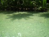 Clear water flowing off Kawasan, Matutinao, Cebu by moonj11, Photography->Nature gallery