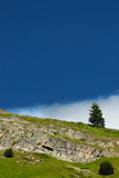 Kananaskis Sentry by MiLo_Anderson, Photography->Landscape gallery