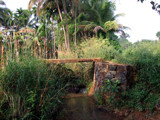 Village bridge by sahadk, Photography->Landscape gallery